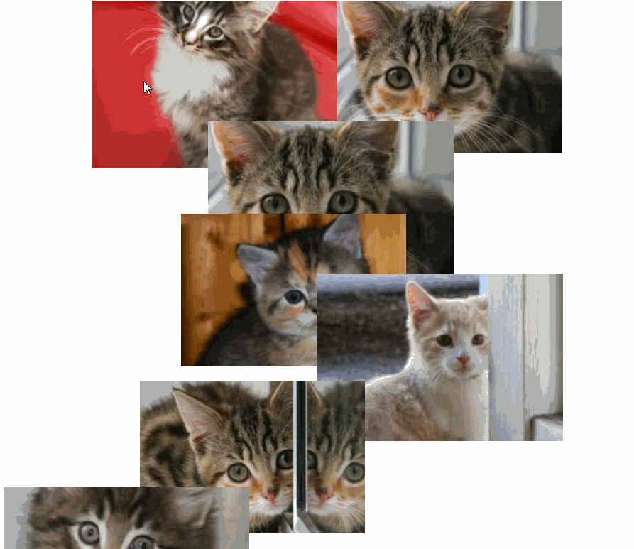 Preview image for Animating DOM Changes