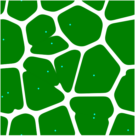 The final result looks pretty good!